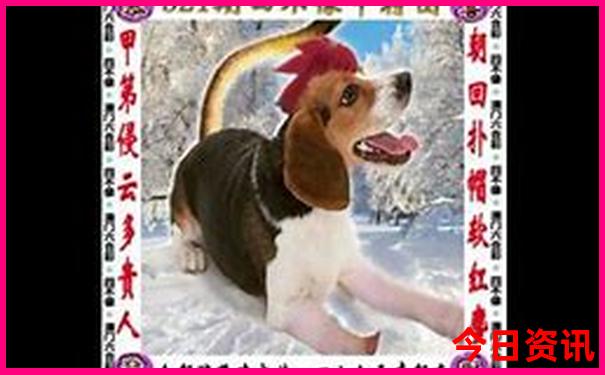 珠江有什么好玩的地方景点推荐